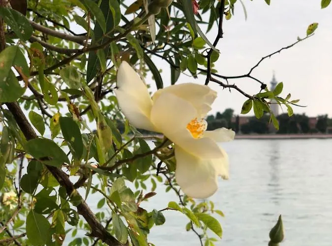 Esclusivo Appartamento- 6 Persone In Liberty Lido di Venezia