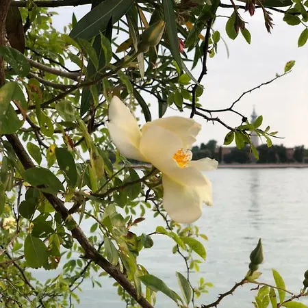 Esclusivo Appartamento- 6 Persone In Liberty Lido di Venezia